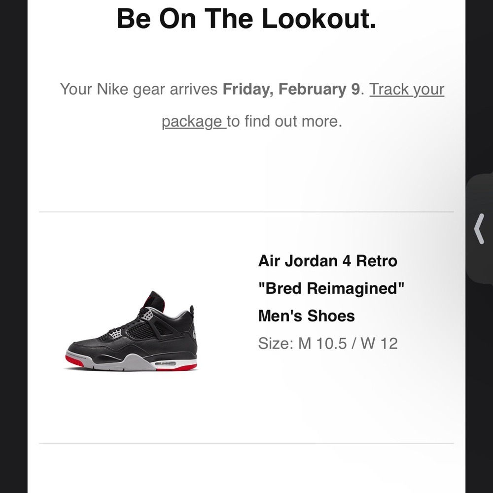 Jordan 4 Bred Reimagined New